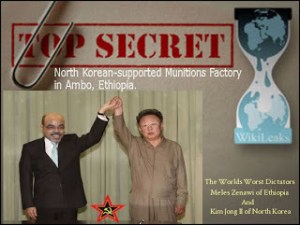Dictators Meles Zenawi of Ethiopia and Kim Jong II