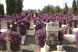 Italian Cemetary in Asmara2