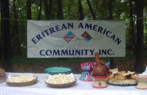 Eritrean American Banner