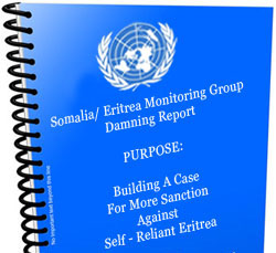 un_monitoring_group_report-2