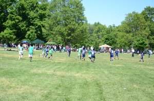 Picninc 2015 Independence