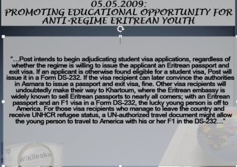 Focus on Eritrean Youth